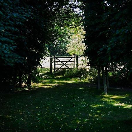 Characterful Yorkshire Cottage, Beautiful Views מראה חיצוני תמונה